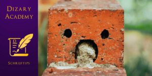 Pareidolia. Dizary academy. Schrijftips. Toevalsbeestje