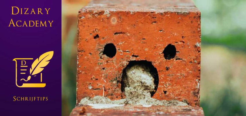 Pareidolia. Dizary academy. Schrijftips. Toevalsbeestje