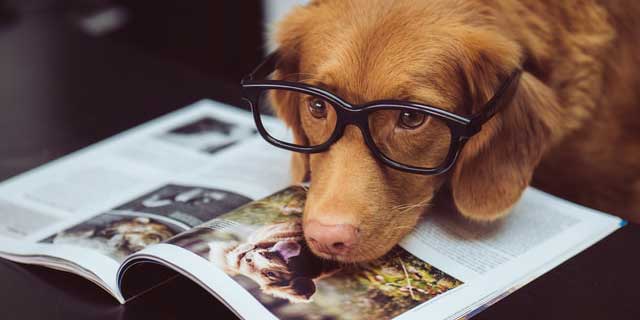 Lekker lezen tijdens de Lees Een Boek Dag