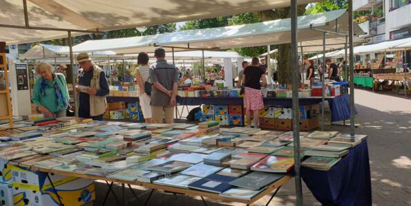 Delftse boekenmarkt, Patrick Berkhof, Project Dizary, Quasis uitgevers