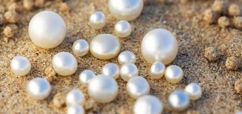 Literaire Parel longlist